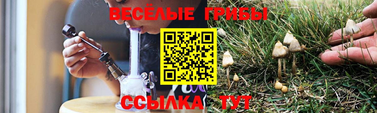 Волгодонск  Псилоцибиновые грибы Psilocybe  Вход с VPN  Псилоцибиновые грибы мухоморы 